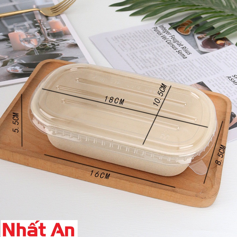 Hộp bento bã mía hình oval set 10 cái