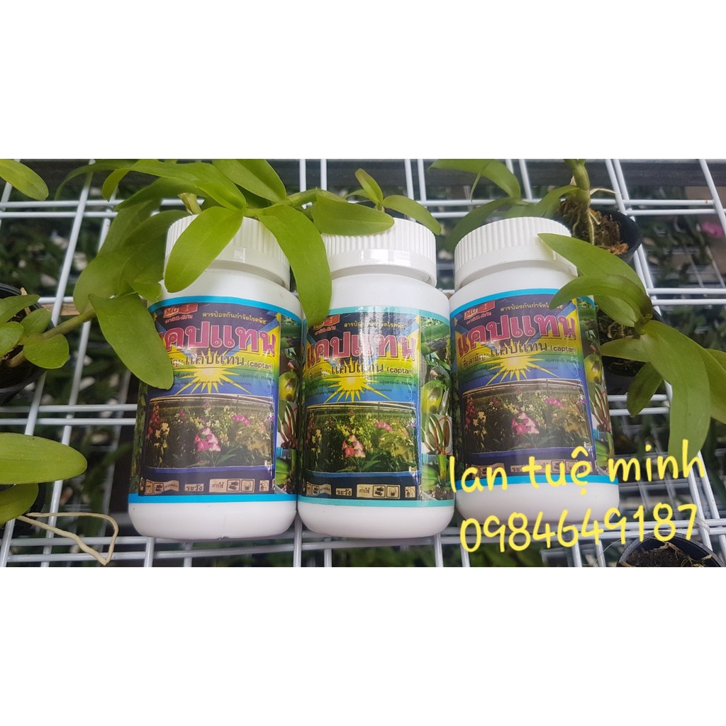 Thuốc trị nấm bệnh cho lan và hoa hồng Captan, mặt hàng đang được săn đón, chất lượng đảm bảo và cam kết hàng đúng mô tả