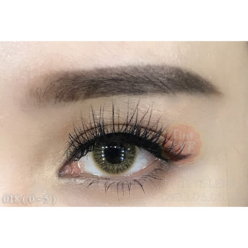 [HCM]lens nâu tây - sử dụng 1 năm tặng kèm khây đựng