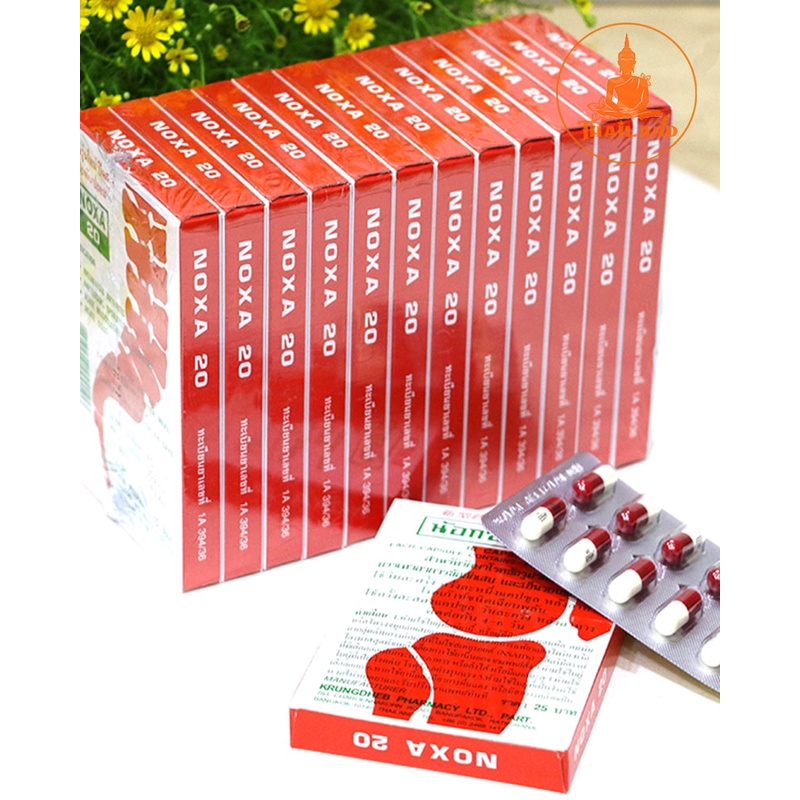 Combo 12 hộp xương khớp Noxa Thái Lan