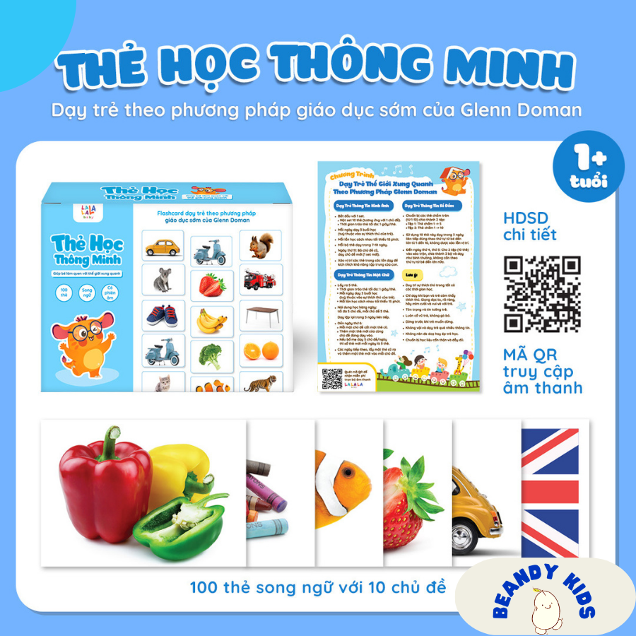 Hộp bộ 100 thẻ song ngữ Anh Việt với 10 chủ đề thông minh cho bé kèm file