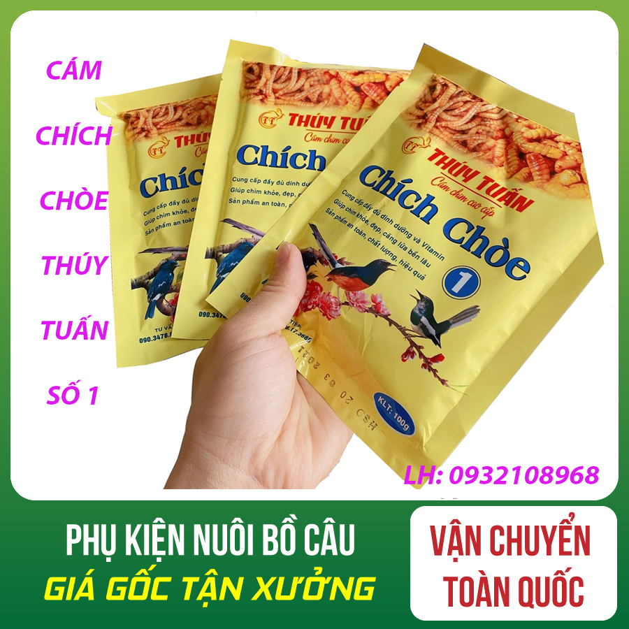 Combo 10 gói cám cho chim chích chòe thúy tuấn số 1 - cám chích chòe số 1 - cám chích chòe - chích chòe thúy tuấn số 1