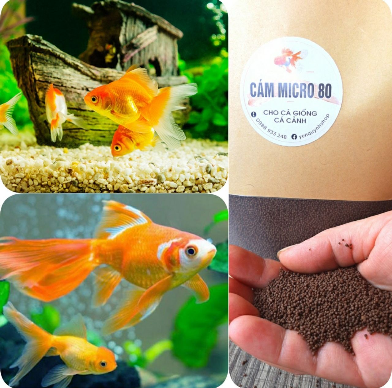 Cám cá cảnh micro 80- cá khỏe mạnh, tăng cường sức đề kháng/túi 0.5kg