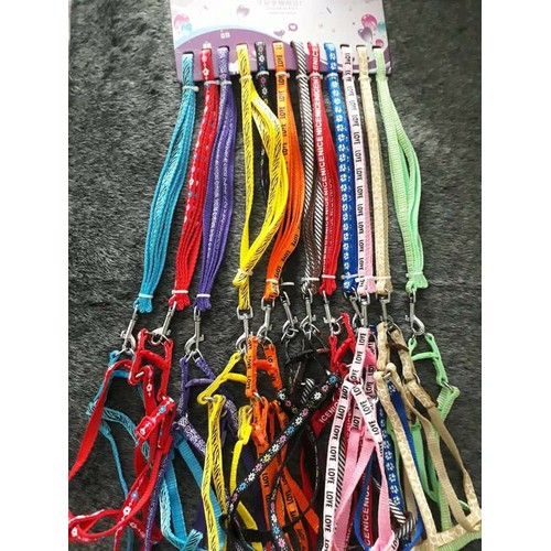 Dây dắt chó mèo dạng yếm 1cm