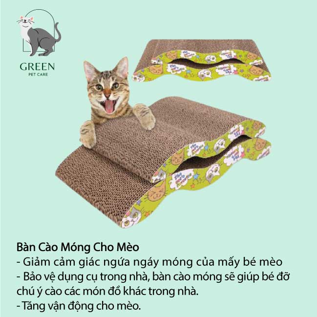 Bàn cào móng cho mèo size lớn