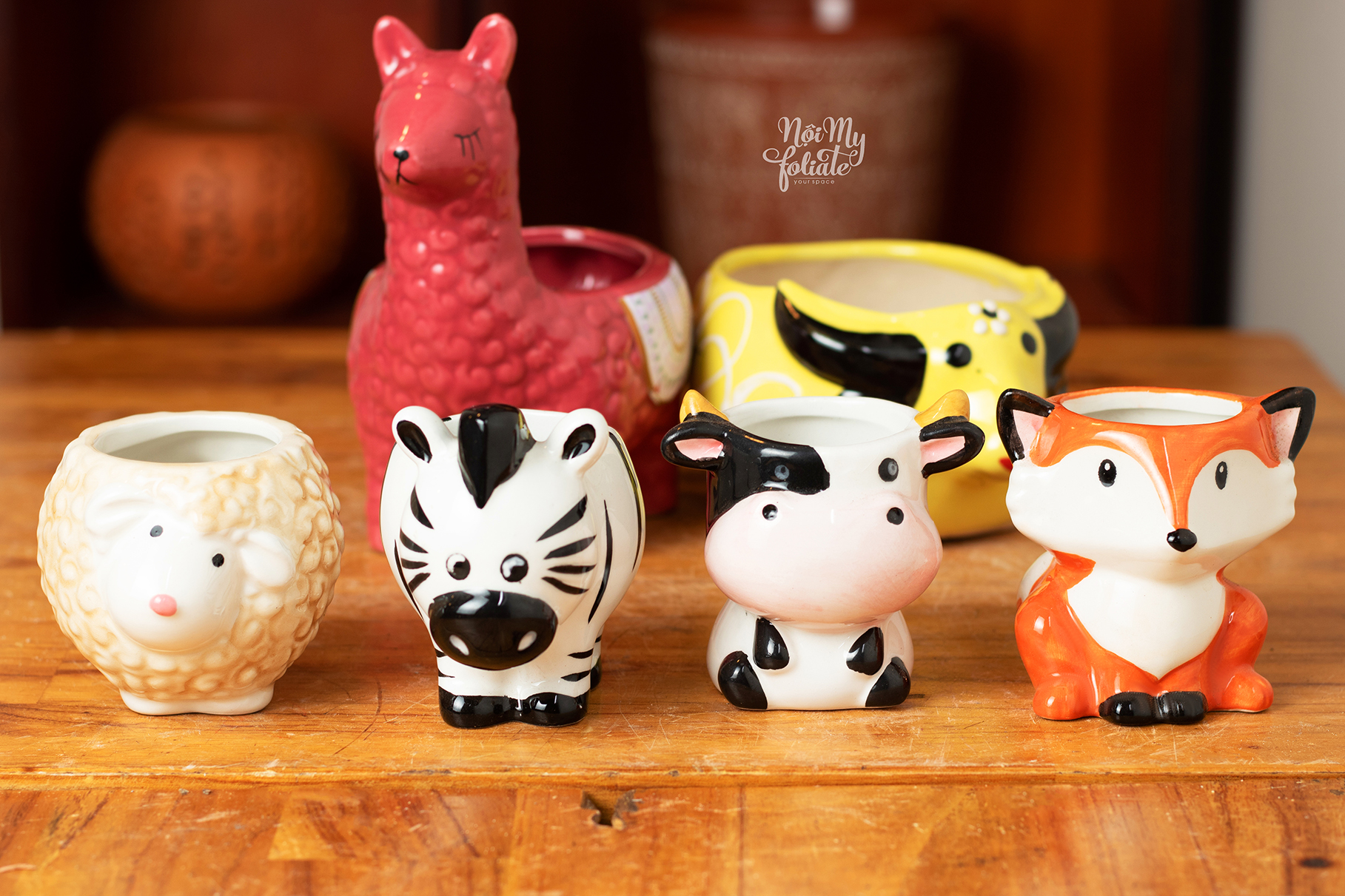 Chậu trồng cây sen đá/ xương rồng hình thú- Mini