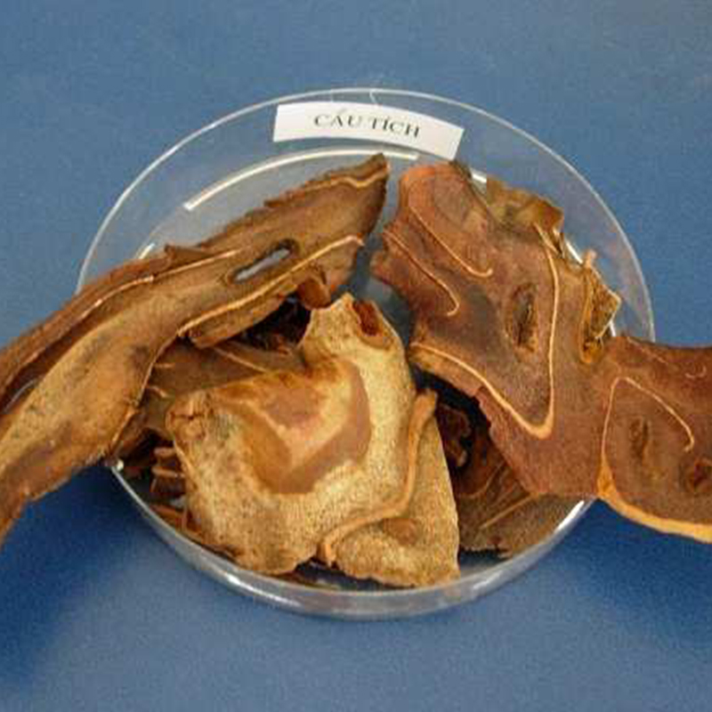 Cẩu tích khô 1kg (lông cu ly) - DV242