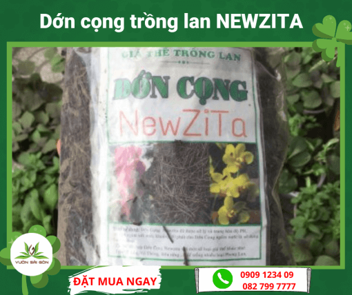 Dớn cọng NewZita giá thể trồng lan
