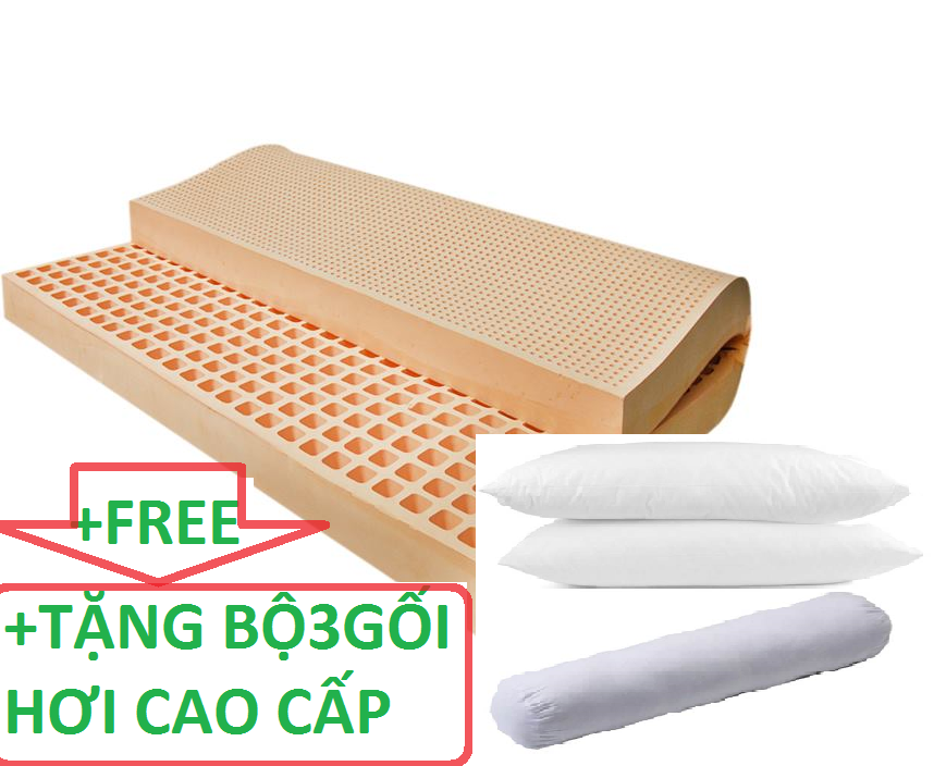 [HCM]Nệm cao su thiên nhiên Sohan 1m6x2mx10cm Tặng 2 ruột gối nằm 1 ruột gối ôm bông gòn cao cấp