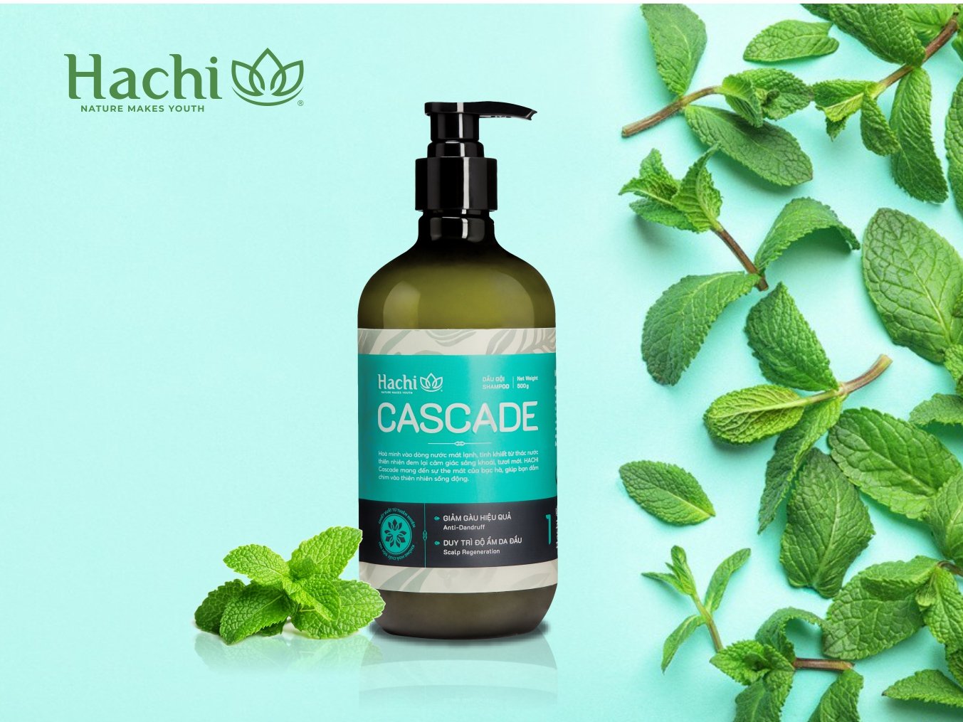 Dầu gội cao cấp hachi vietnam ® cascade 480g dành cho tóc gàu
