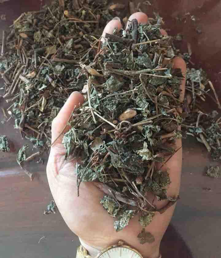 Chè dây sapa
