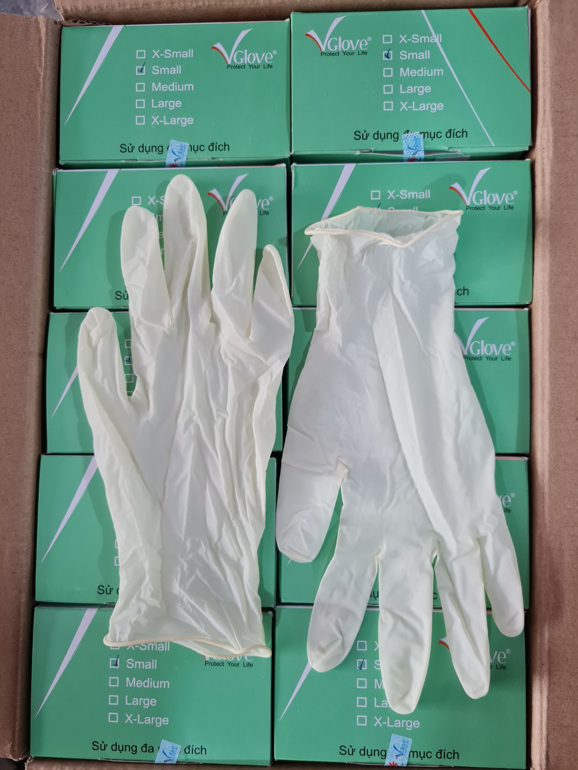 Găng tay y tế latex khám bệnh Vglove có bột và không bột, màu trắng kem, size S,M,L,XlL, nhám đầu ngón tay