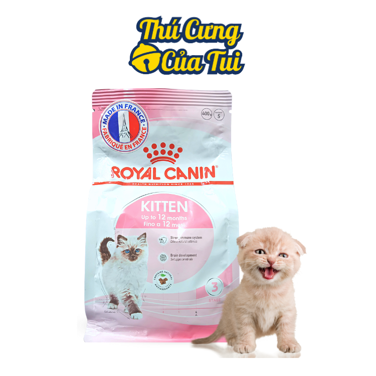 Thức ăn hạt khô royal canin kitten 36 cho mèo con - thú cưng của tui