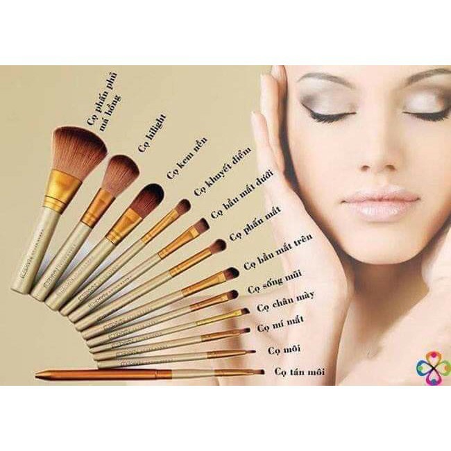 Bộ cọ trang điểm 12 món đa năng