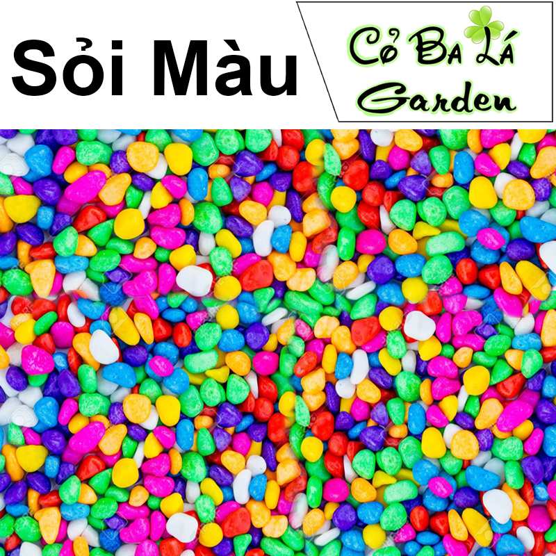 Sỏi màu sắc dùng trang trí bể cá , rải mặt chậu cây,làm decor túi 500gram
