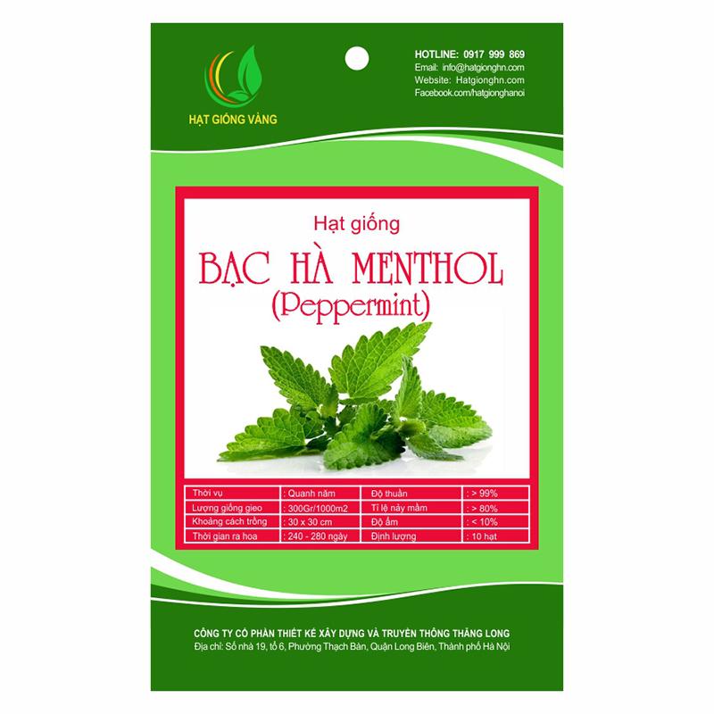 Hạt giống Bạc hà (Menthol) Peppermint Golden Seeds 10 Hạt