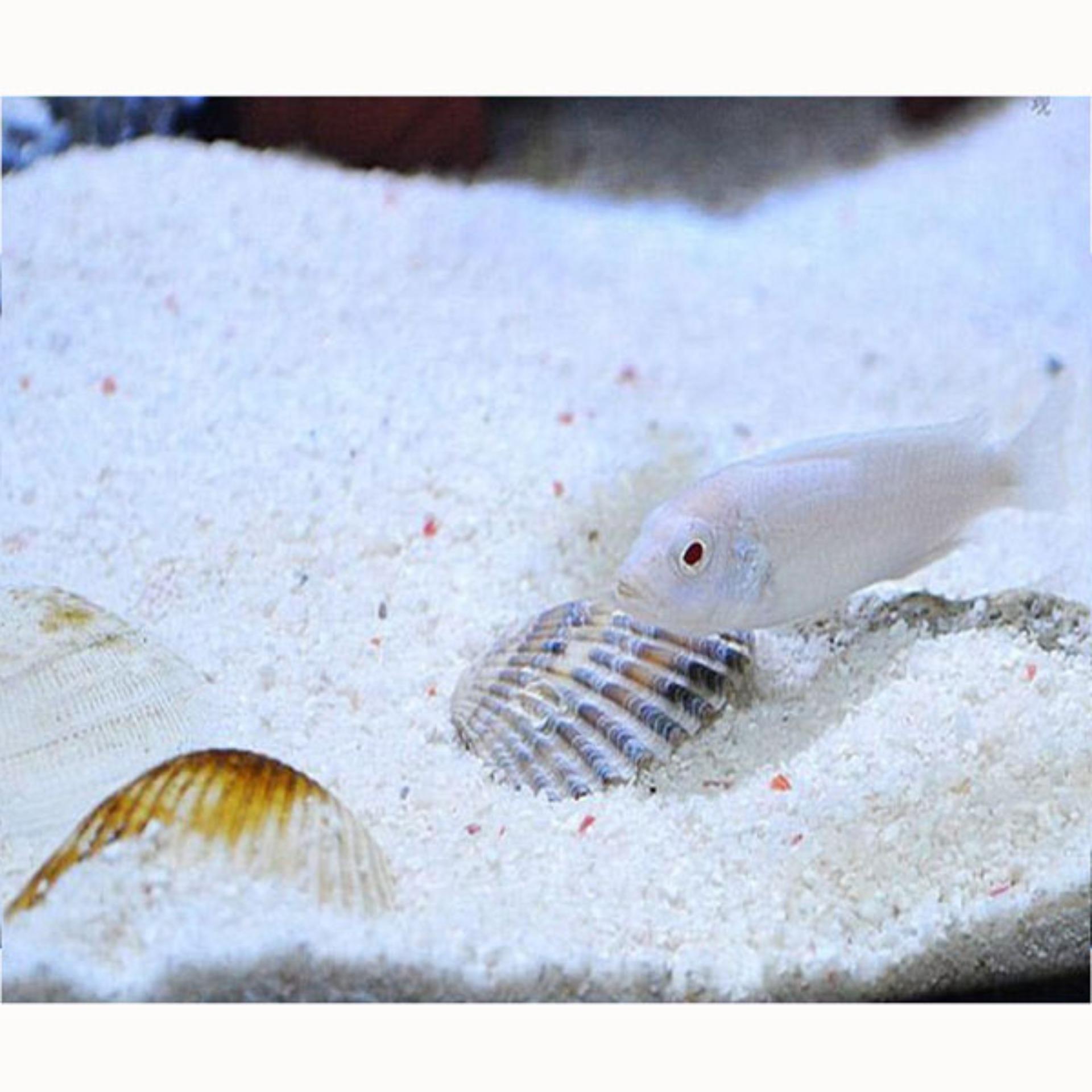 Cát Thạch Anh túi 900GR vật liệu lọc, làm thác cát, trang trí bể cá - catthachanh900GR