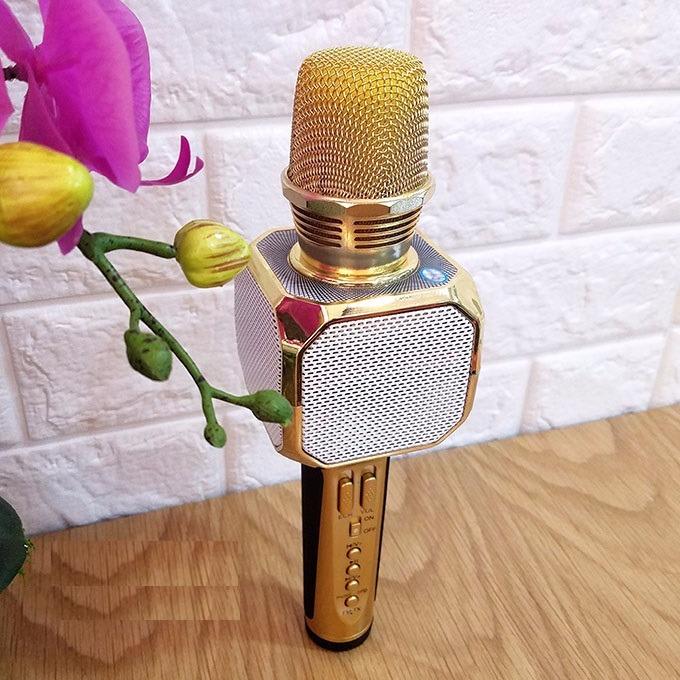 Micro kèm loa Bluetooth Karaoke SD-10 cực hay)