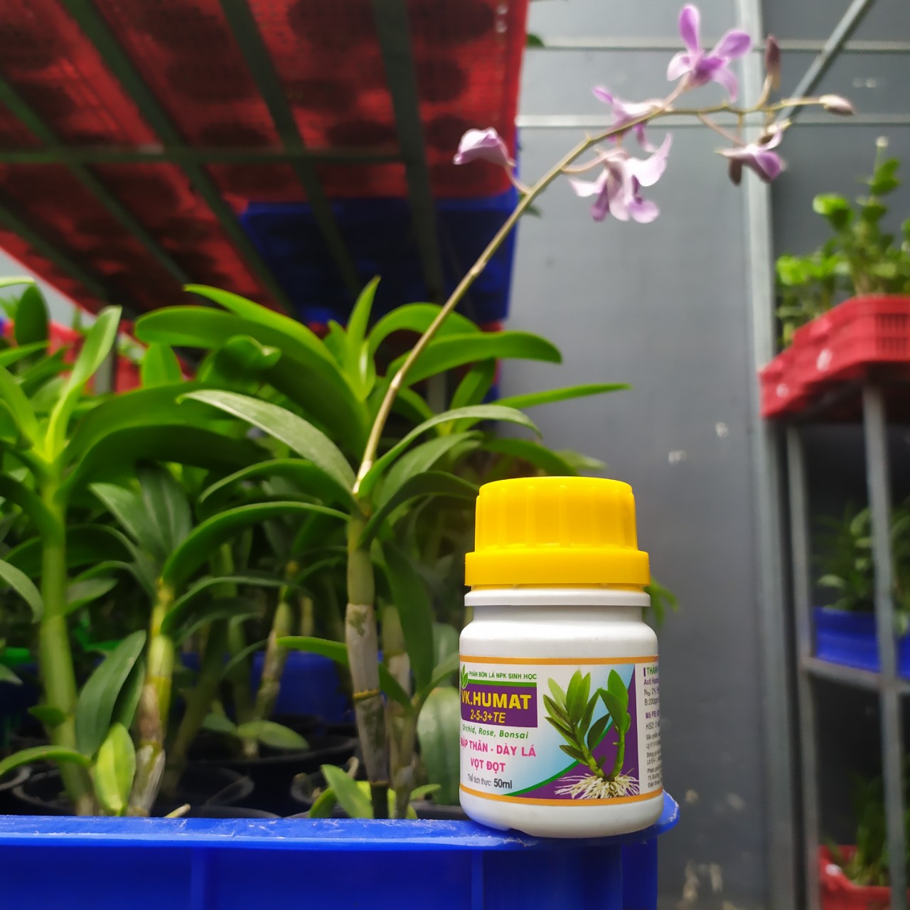 Mập Thân - Dày Lá - Vọt Đọt VK Humat 50g