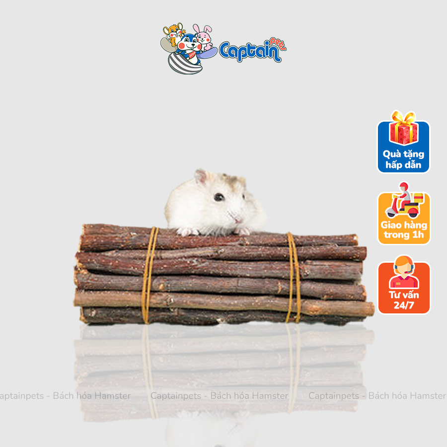 Đồ ăn vặt cho hamster - gỗ táo mài răng 50g - bách hóa hamster