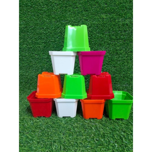 Chậu trồng cây xương rồng sen đá cây cảnh để bàn