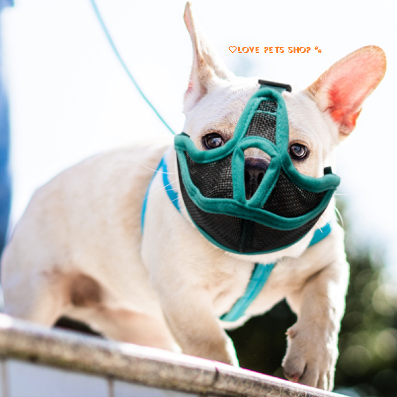 Rọ mõm cho Chó mõm ngắn bằng vải lưới thoáng mát - Love Pets Shop