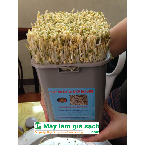 Máy Làm Giá Đỗ Gia Đình Tự Động, Máy Làm Giá Đỗ , Máy Làm Giá Sạch, Máy Làm Rau Mầm, Thiết Bị Làm Giá Đỗ , Máy Làm Giá Đỗ Sạch , Máy Làm Giá Sạch -KGD1994