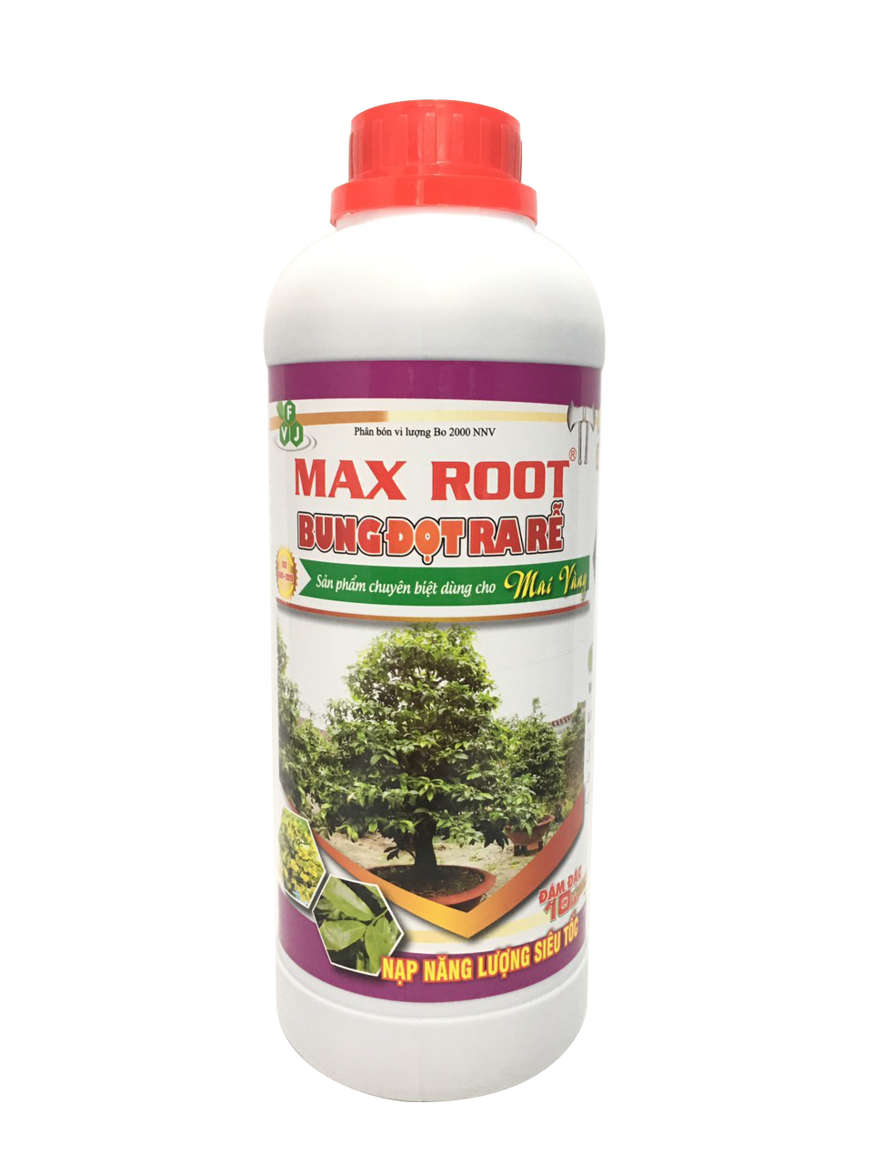Bung đọt ra rễ - chuyên mai vàng 1l