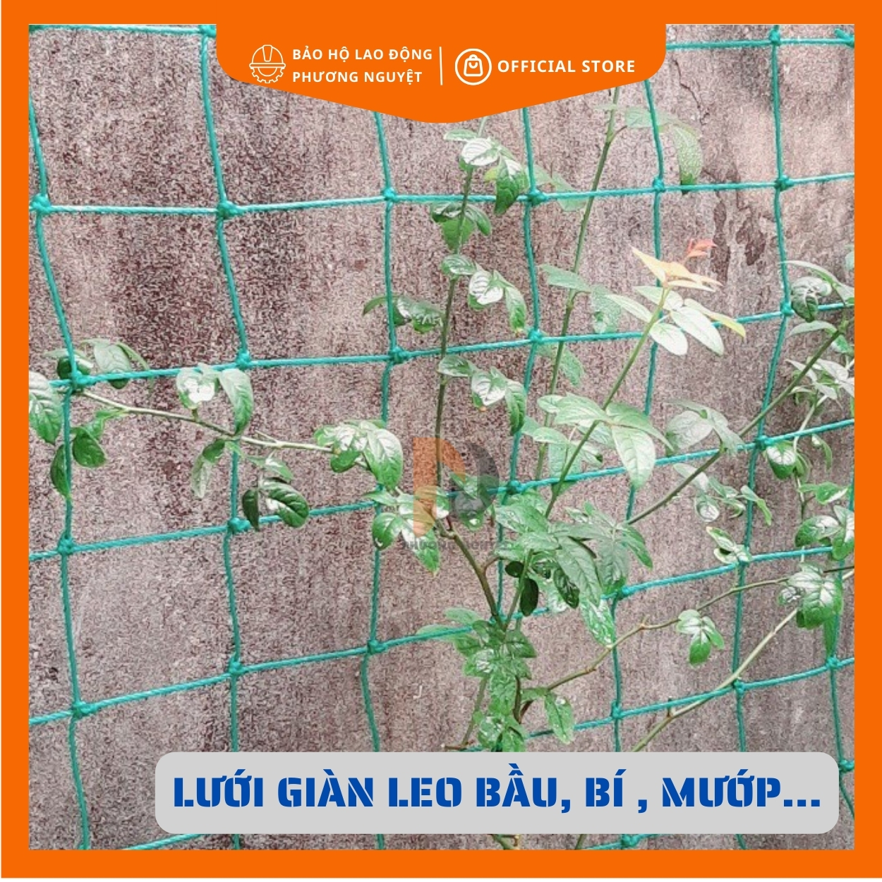 Lưới giàn leo , lưới giàn cây, lưới trồng cây leo, lưới trồng bầu bí nhiều kích thước