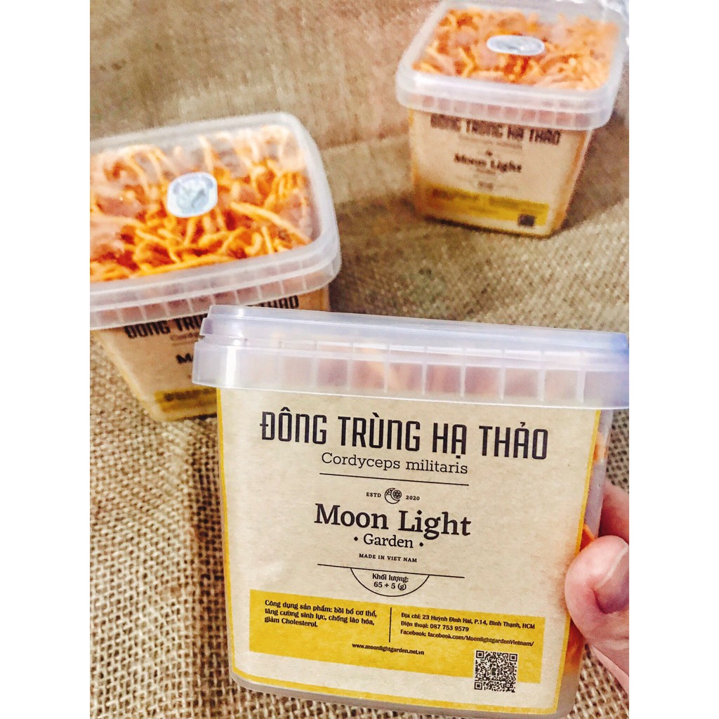 Nấm đông trùng hạ thảo tươi "Cordyceps"