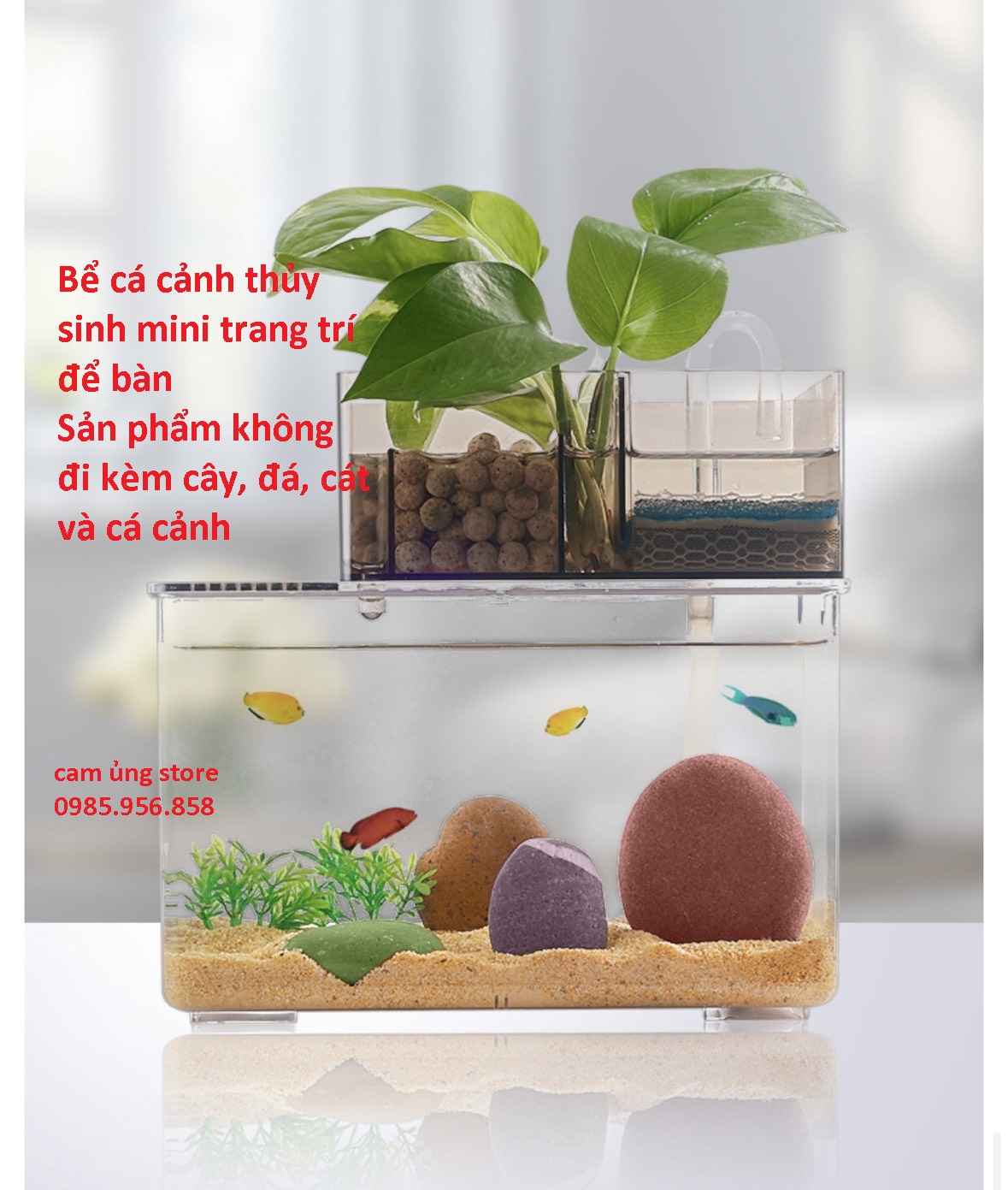 Bể Cá Cảnh Mini đẹp giá rẻ Tháng 8,2024|BigGo Việt Nam
