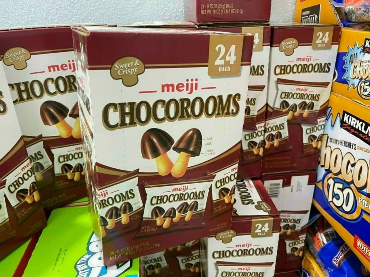 Bánh nấm socola sữa meiji chocorooms