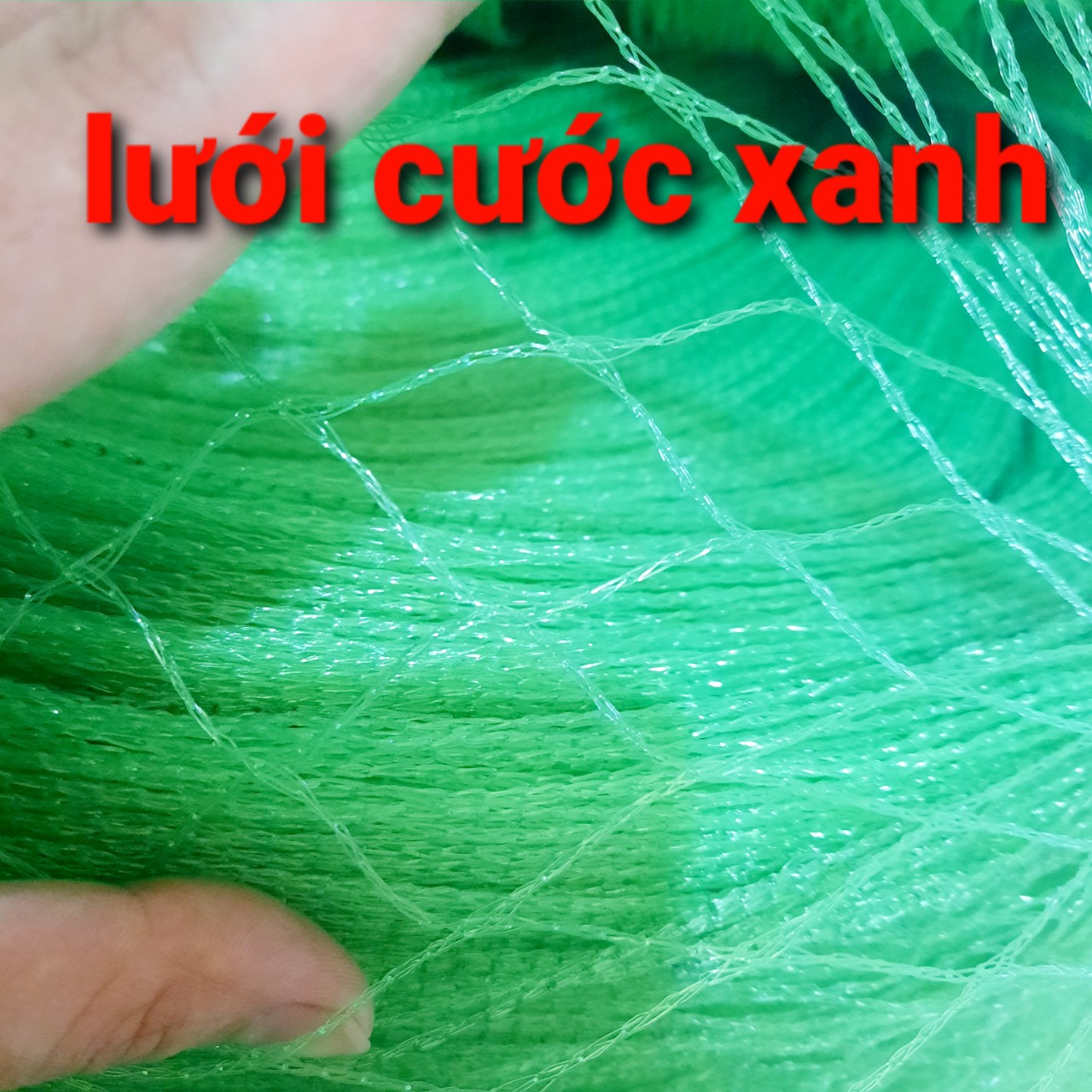 Combo 25 mét lưới cước rào gà, rào vườn, lưới giàn khổ căng rộng 2 mét ô lưới vuông 3x3cm