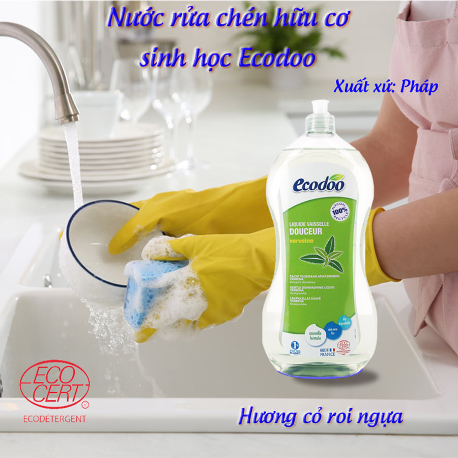 Nước rửa chén lô hội cỏ roi ngựa hữu cơ sinh học 1L Ecodoo