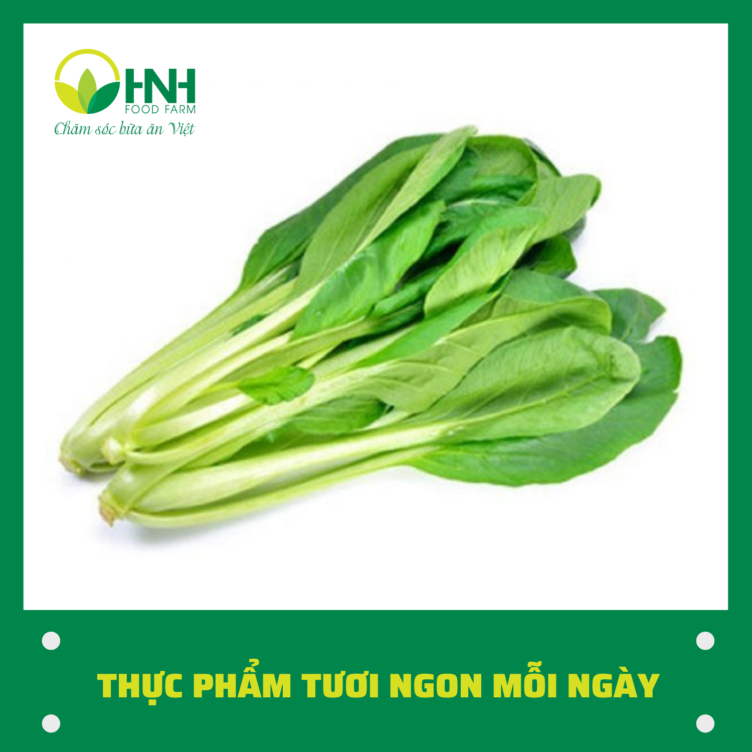 [CHỈ GIAO HÀ NỘI] Cải ngọt sạch ngon trợ giá mùa dịch - HNH Food Farm