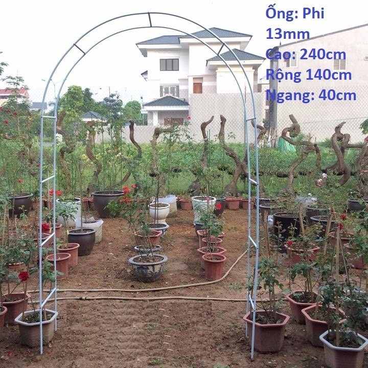 Khung vòm cho hoa hồng leo, cây leo đa năng trang trí làm bằng thép ống phi 13mm sơn tĩnh điện 2,4m rộng 1,4m, ngang 38cm