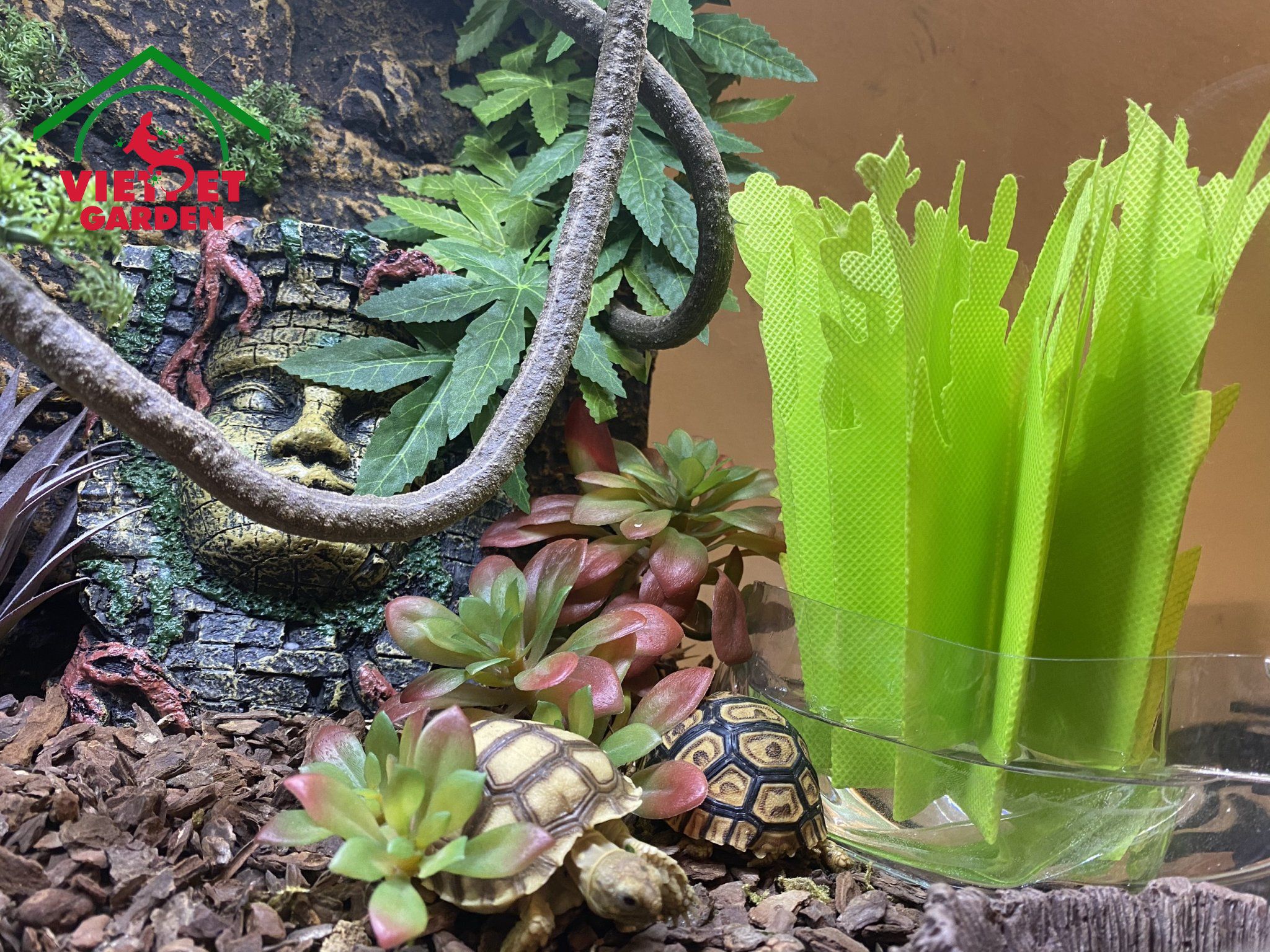 Cỏ tạo ẩm - Hãng Monoy - Chuyên dụng cho bò sát - Vietpetgarden