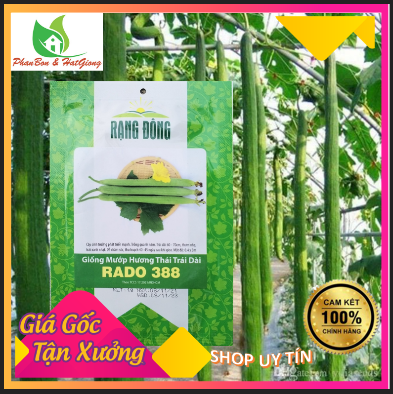 Hạt Giống Mướp Hương Thái Lan Trái Dài Rạng Đông -  Shop Phân Bón, Hạt Giống Rau Củ Quả, Xơ Dừa, Mùn Dừa, Đất Sạch Trồng Rau Tp. Hồ Chí Minh