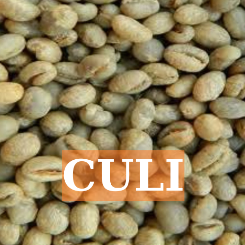 Cà phê hạt nhân sống chưa rang CULI hạt xuất khẩu 1kg