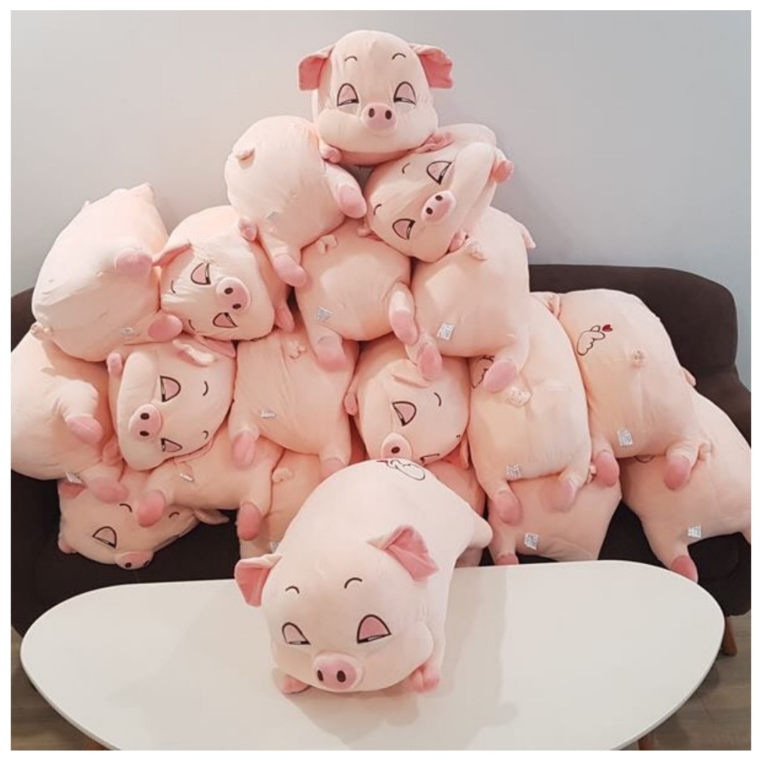 Gấu Bông Lợn Bông Buồn Ngủ full size - Màu hồng đáng yêu - Vừa ôm ...