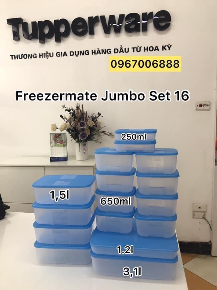 Ưu đãi 40% - Bộ hộp Bảo quản thực phẩm ngăn đông tủ lạnh  Tupperware - Nhựa nguyên sinh an toàn