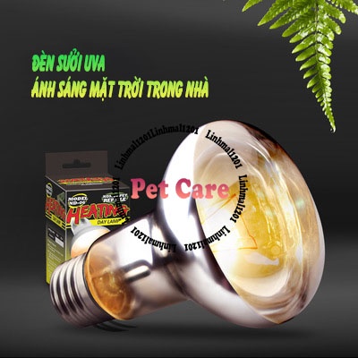 Đèn sưởi UVA sưởi ngày ánh sáng mạnh cho rồng úc rồng nam mỹ bò sát nomoy