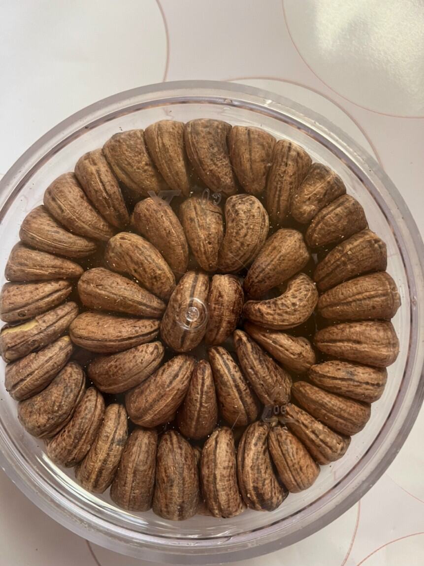 Hạt điều rang muối odganic cpc loại 1 hộp 500gr