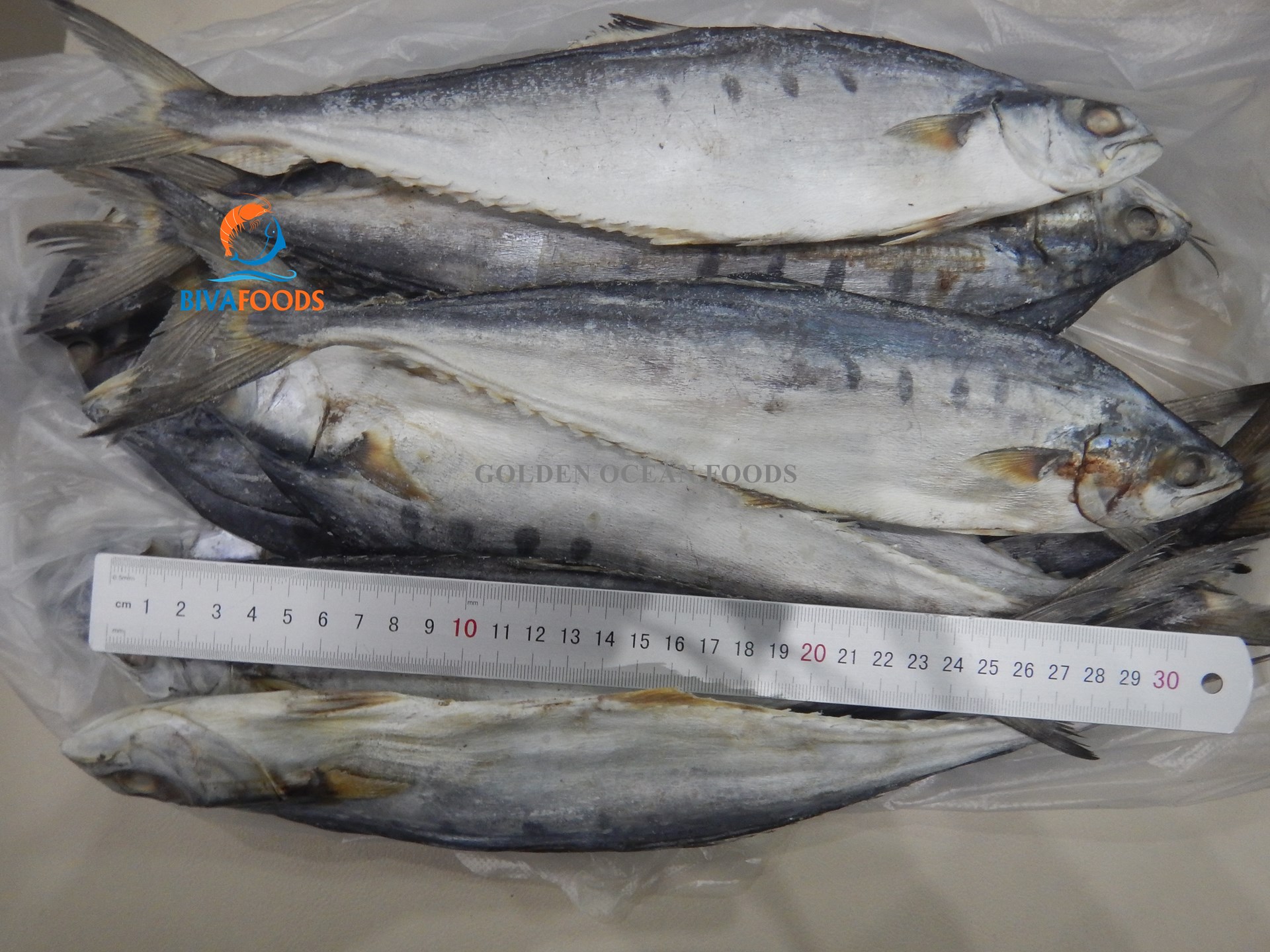 Khô Cá Bè Trang Nguyên Con 4-8 Con/1kg/Túi - Thực Phẩm BIỂN VÀNG