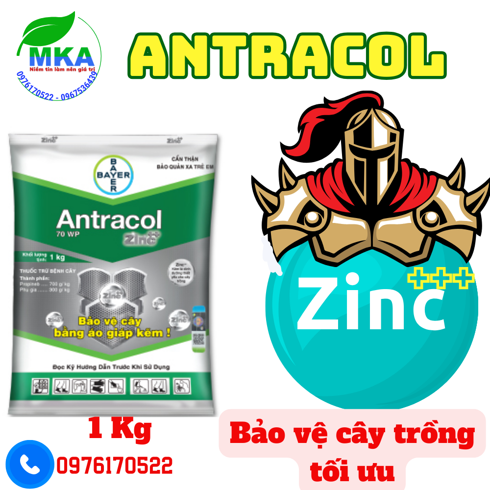 Thuốc trừ bệnh antraco l 70wp | antracol zinc+ hiệu quả xanh và dày lá,trị nấm, thán thư