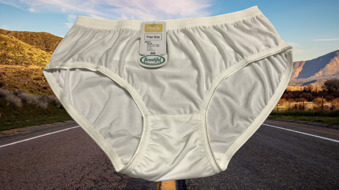 Quần Lót Nữ Thun Lạnh 342, Size (60-70Kg), Quần Chip Nữ Lưng Cao Dành cho người lớn tuổi, chất thun co dãn thoải mái, mềm mịn thoáng mát
