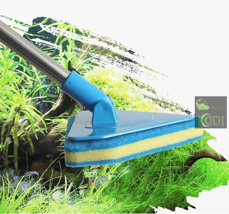 Cây vệ sinh bể cá cảnh cán kéo dài