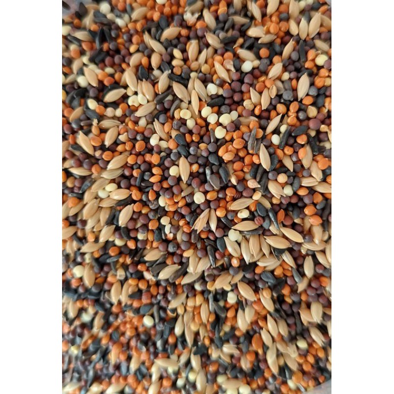 1kg hạt trộn cho yến phụng, yến hót, finch, 7 màu, manh manh, sắc nhật và các loài chim nhỏ