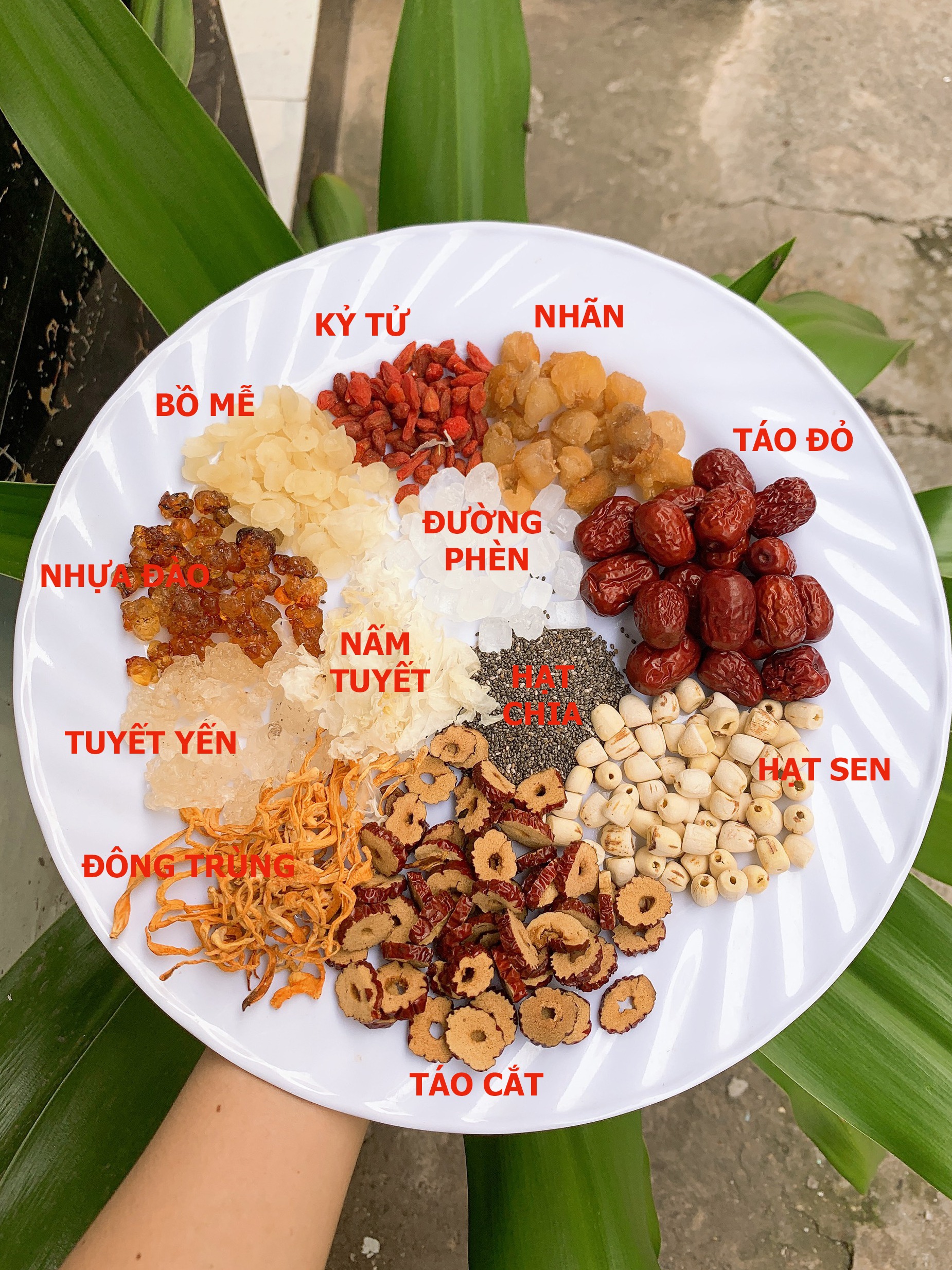 [HCM]Set 300g Chè Dưỡng Nhan Tuyết Yến 10 vị có đường phèn Nấu 5-6 chai 330ml/chai