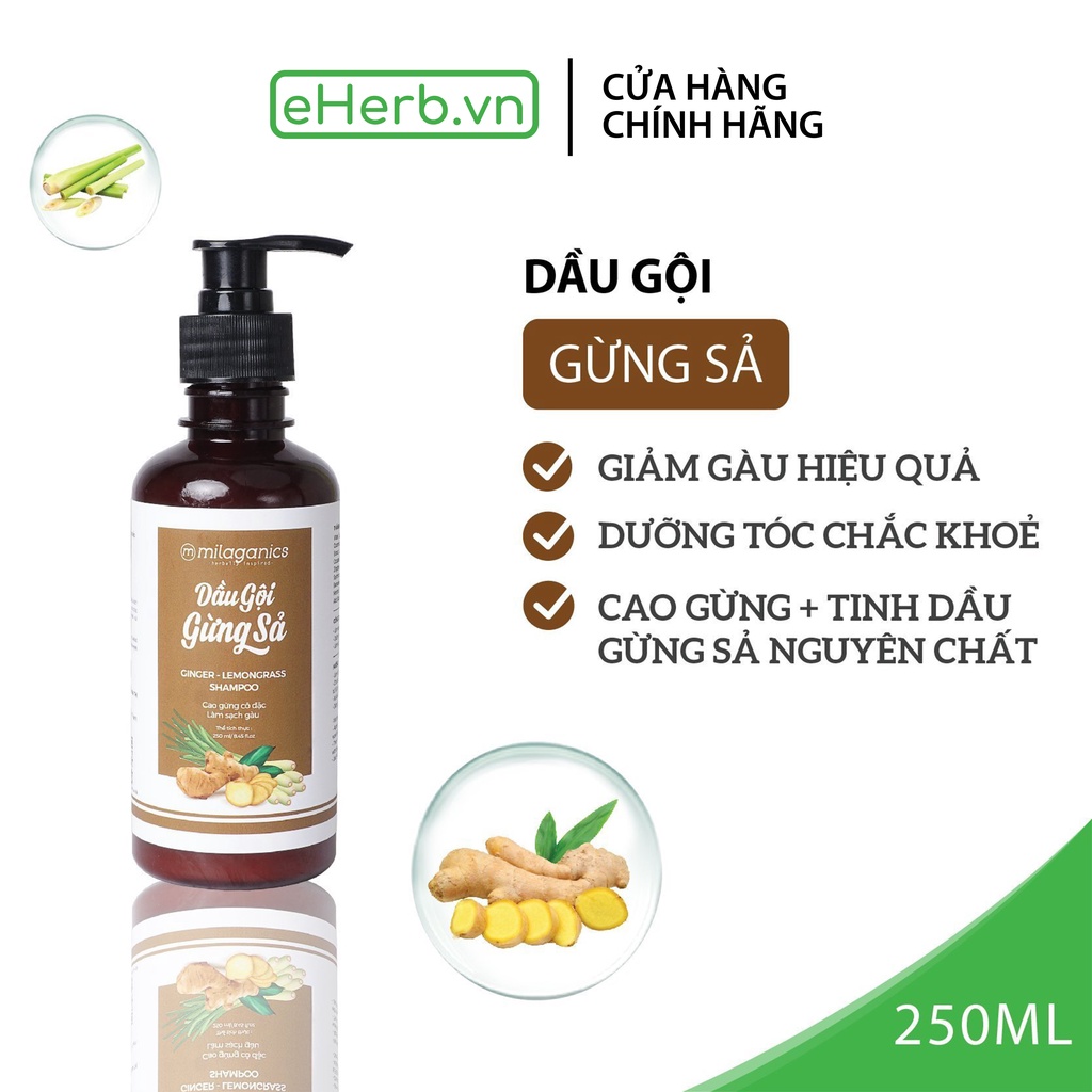 Dầu Gội Gừng Sả Sạch Gàu Dưỡng Tóc Mềm Mượt Từ Cao Gừng Cô Đặc MILAGANICS 250ml (Chai) - eherb